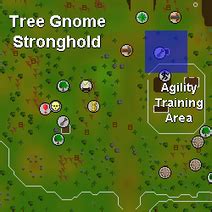 Fruit tree patch/Patches - OSRS Wiki