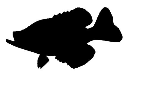 Crappie Cliparts: A Collection of Artistic Illustrations of This Popular Freshwater Game Fish