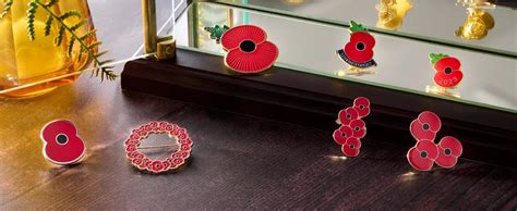 Royal British Legion Lest We Forget Scroll Poppy Pin : Amazon.co.uk: Fashion