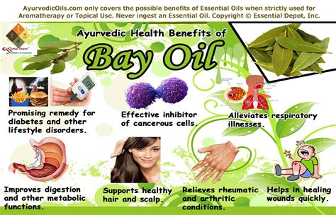 Ayurvedic health benefits of Bay leaf oil | Essential Oil