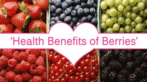 Can Berry Fruit Benefits - health benefits