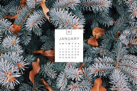 2024 January Calendar Wallpaper 4k Images - Calendar 2024 Cute