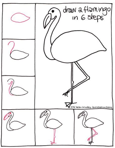 Learn to draw a cute Flamingo in just 6 easy steps | Bird drawings ...