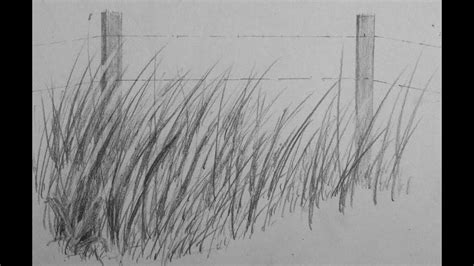 How to Draw Realistic Tall Grass - YouTube | Realistic drawings, Grass drawing, Landscape drawings