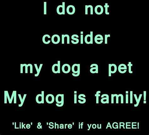 Pets Are Family Quotes. QuotesGram