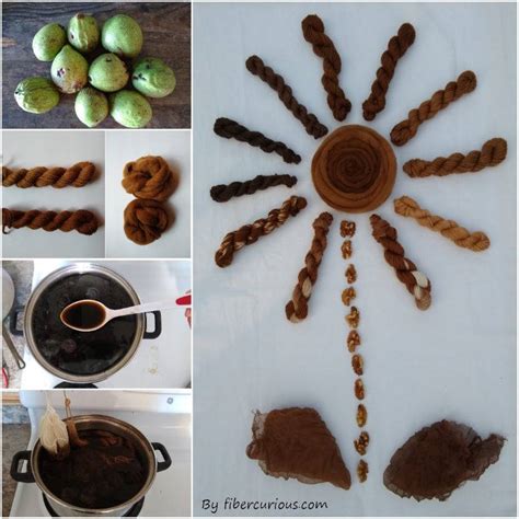 How to make walnut dye • Fibercurious