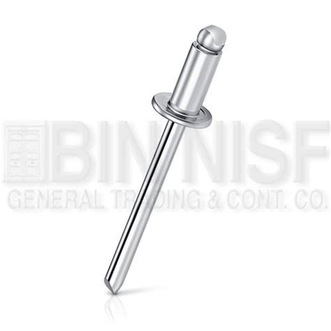 BINNISF-STAINLESS STEEL BLIND RIVIT 100/PK