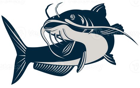 Catfish Jumping Isolated Background 17164927 PNG