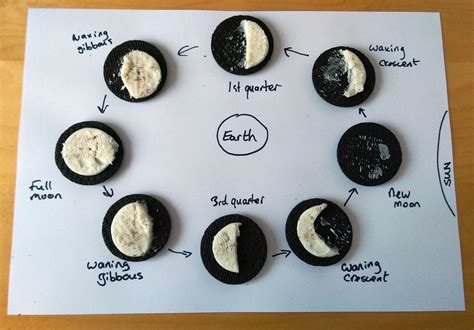 Quick Science Idea : Oreo Cookie Moon Phase Model