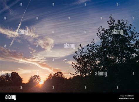 Silhouette of a trees against sunset sky Stock Photo - Alamy