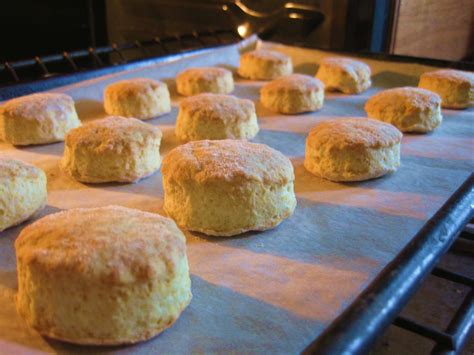 “American” Buttermilk Biscuits