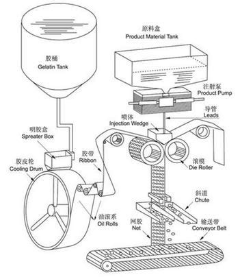 Soft Gelatin Capsules Manufacturing Process: The Complete Guide - SaintyTec