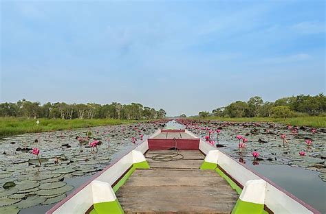 What is a Ramsar Wetland? - WorldAtlas.com