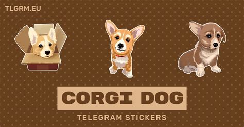 “Corgi Dog” stickers set for Telegram