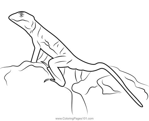 Collared Lizard Coloring Page for Kids - Free Lizards Printable Coloring Pages Online for Kids ...