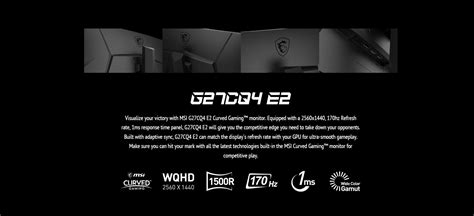 MSI G27CQ4 E2 eSports Curved Gaming Monitor, 27" WQHD VA Display, 170 Hz Refresh Rate, 1ms(MPRT ...