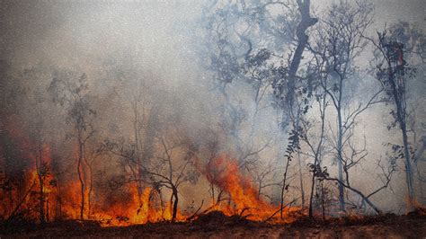 NC WILDFIRES BURN THOUSANDS OF ACRES, PROMPT STATE EMERGENCY - NC Voices