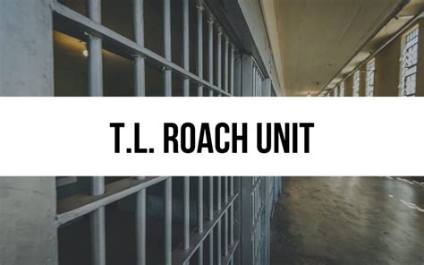 T.L. Roach Unit in Texas: Facilities, Programs and Services