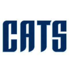 Charlotte Bobcats Wordmark Logo | Sports Logo History