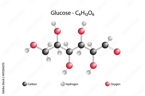 Chemical structure of glucose. Sugar, carbohydrates Stock Vector | Adobe Stock