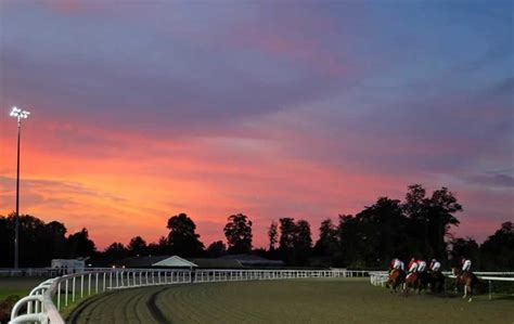 Kempton Park Racecourse - Festivals of Racing