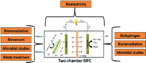 General principle of a double-chamber microbial fuel cell (MFC) and the... | Download Scientific ...