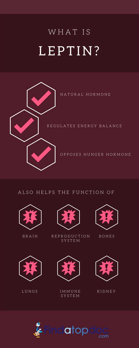 Leptin Resistance: Symptoms, Causes, and Treatment