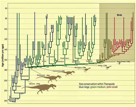 Species New to Science: [Paleontology • 2014] Sustained Miniaturization and Anatomical ...