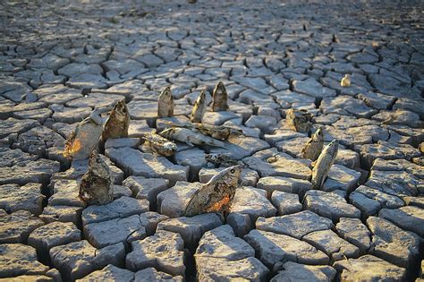 Extremely low levels at Lake Mead amid drought | Northwest Arkansas ...