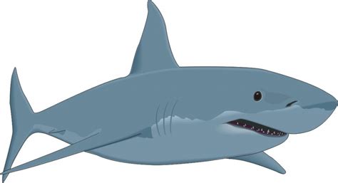 Great White Shark Cartoon - Cliparts.co