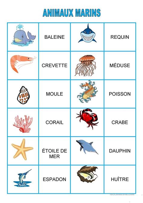 Les animaux marins imagier – Artofit