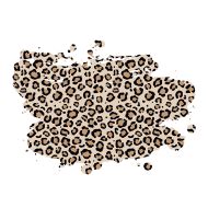 Cheetah Png image with transparent background for free, Cheetah, (30) - Photo #5005 - Pngdow ...