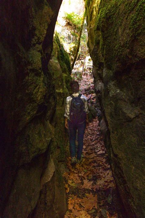 Guide to Umpqua National Forest: Waterfall Hikes & Hot Springs