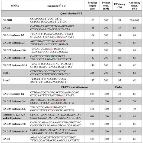 Expression of GAD1 mRNA splicing isoforms and GAD2 in olfactory bulb ...