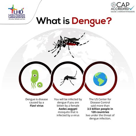 Multiple Introductions Of Dengue Virus Strains Contribute, 47% OFF