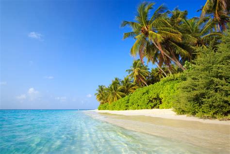 Why you need to visit The Maldives for a beach holiday before you die | Metro News