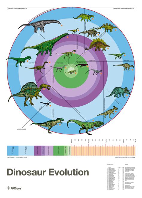 Dinosaur Evolution Poster