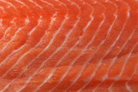 Salmon Meat Texture stock photo. Image of culinary, cooking - 28076178