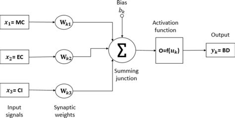 Simulation of the performance of a neuron in an artificial neural ...