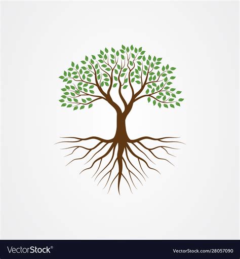 Tree with roots Royalty Free Vector Image - VectorStock