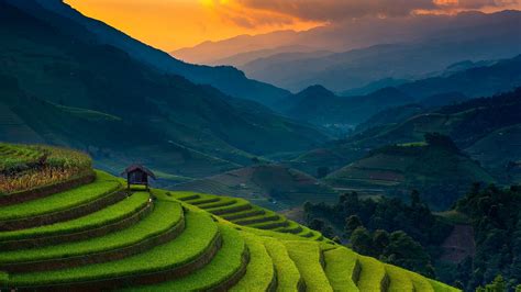 1920x1080 Resolution Rice Terrace Cool 1080P Laptop Full HD Wallpaper - Wallpapers Den