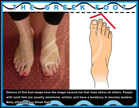 9 FOOT SHAPES - THE GREEK FOOT | Greek feet, Emotions, Feet