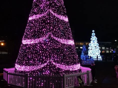 Bournemouth's Christmas Tree Wonderland - Blog