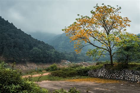 Misty Vietnam Landscape Image - ID: 298246 - Image Abyss