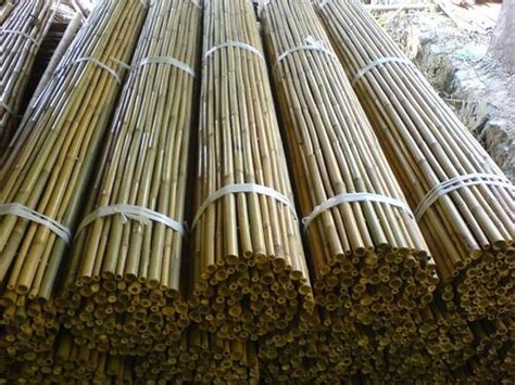 Bamboo Fence - Rolled Bamboo Fencing - Black Bamboo