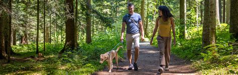 24Petwatch: Discover the best dog-friendly hiking trails in US and Canada