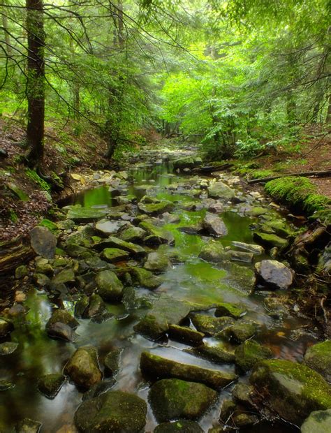 Free Images : landscape, tree, nature, rock, wilderness, hiking, leaf, flower, trunk, summer ...