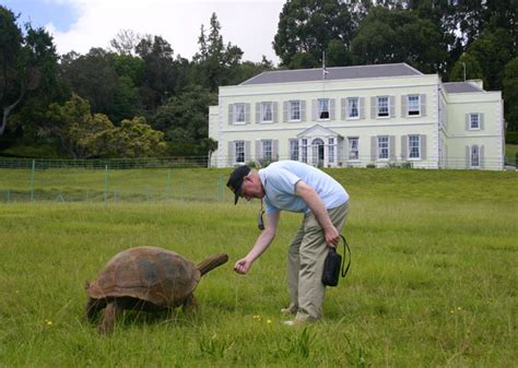 Jonathan The Tortoise Photographed In 1902 And Today | Bored Panda