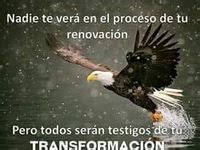 RENOVACION DEL AGUILA