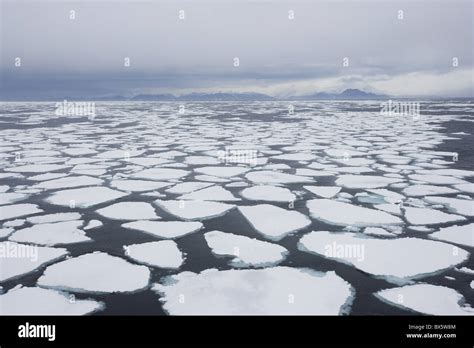 Ice floe, drift ice, Greenland, Arctic, Polar Regions Stock Photo - Alamy